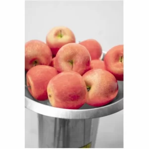 Güde Obsthäcksler Obstmühle GOH 1500 Obstmuser Edelstahlgehäuse 1100 Watt Motor 15